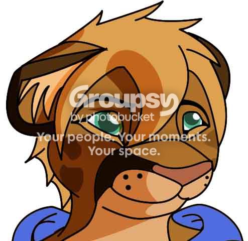 User Image
